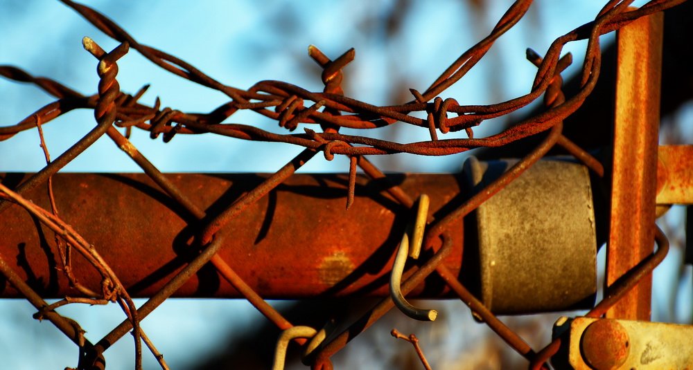 Dennis Donahue LCCTheme #1  Patterns & Textures 20210222 None Fence Top Barbed Wire