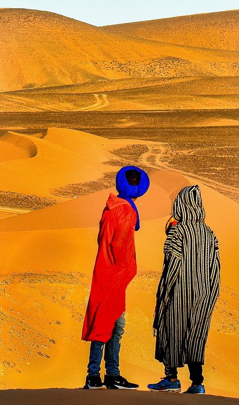 LCC-4 Beginner Proj Looking Out On The Sahara Bob Gandel POM