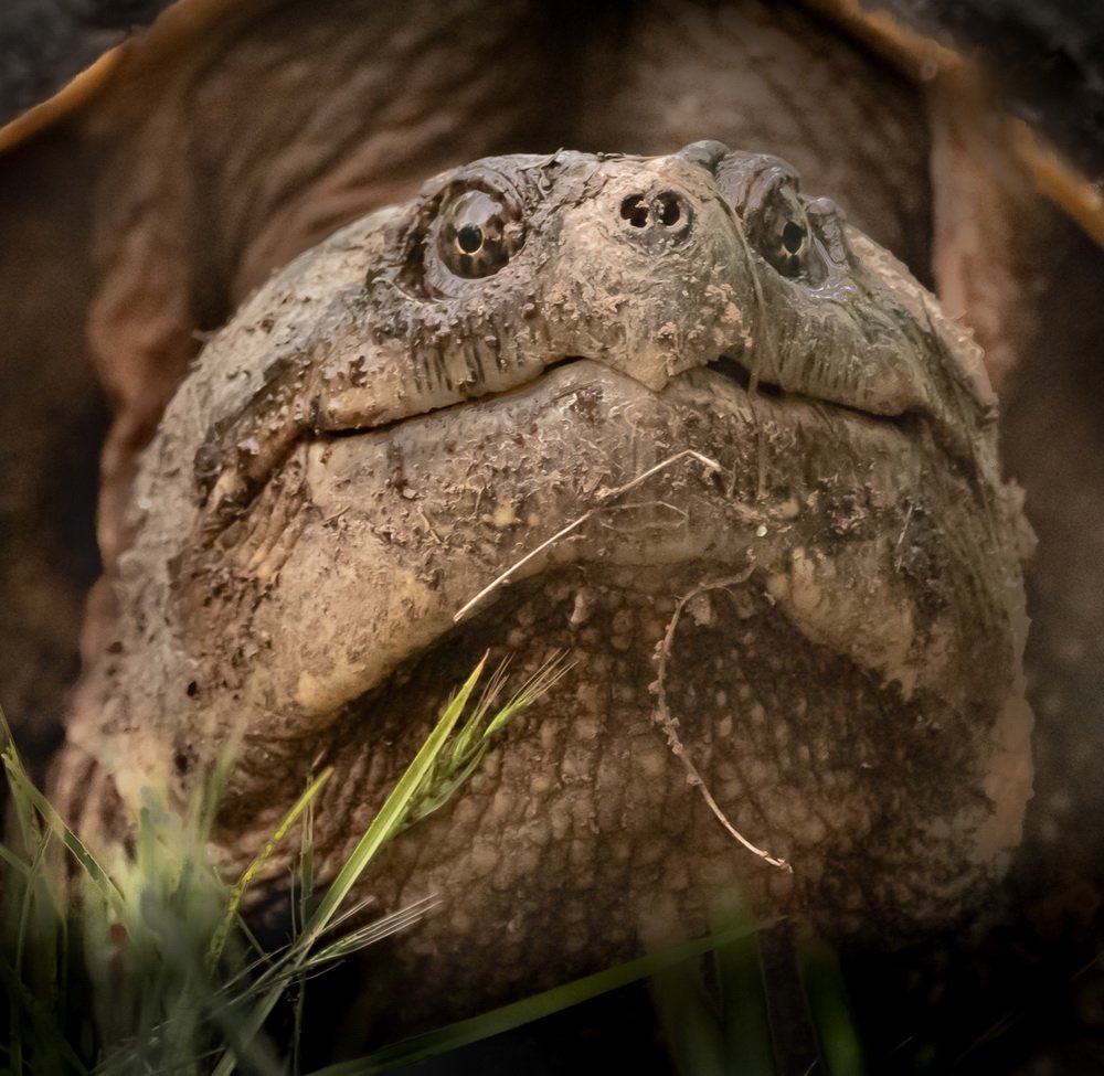 Natalie Gregorio Natalie Gregorio2 SNAPPY Too Close For Comfort 20210524