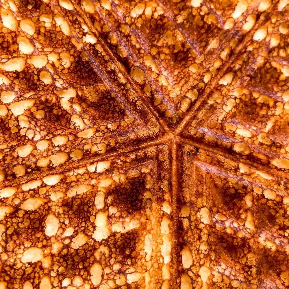 Pat Gilhooly LCCTheme #1  Patterns & Textures 20210222 None Butter, Maple Syrup And....