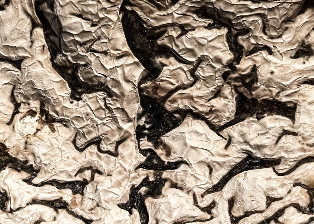 Pat Gilhooly LCCTheme #1  Patterns & Textures 20210222 None Ultraripe (aka Moldy) Brie