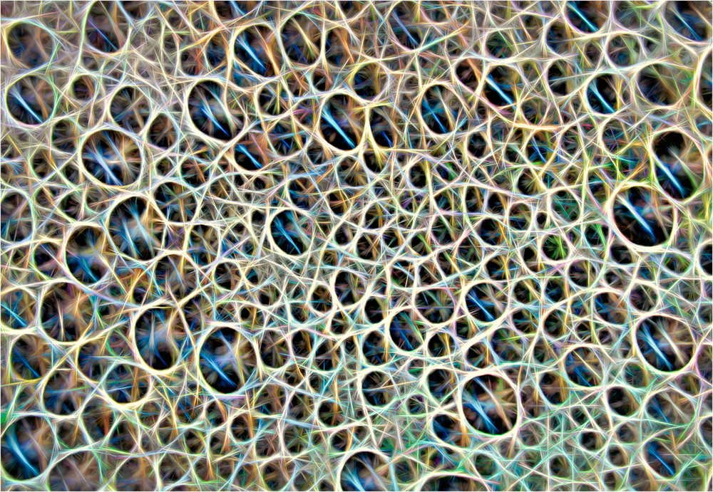 Stanley Kron The Inner World Of Pond Foam 20220404 EQUAL MERIT