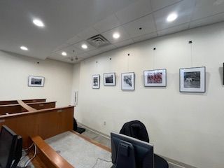 IMG 3357