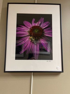IMG 8955