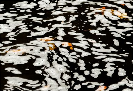 Stanley Kron LCCTheme #1  Patterns & Textures 20210222 None Autumn  Foam On The Rarity River
