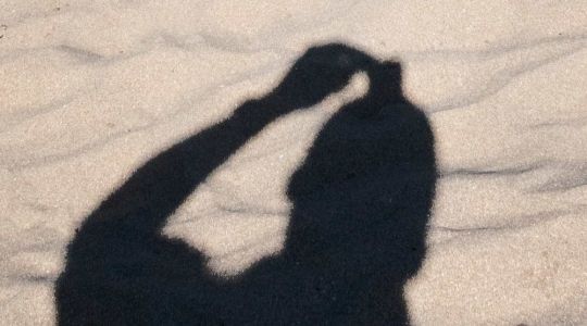 Steven Fischkoff Photographers Shadow In The Sand HM